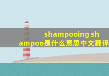 shampooing shampoo是什么意思中文翻译